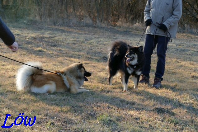 12.2.2022 - Shiva und Lola